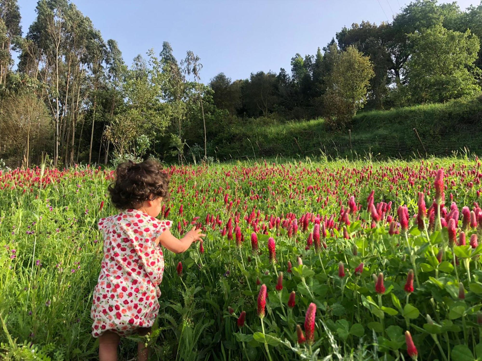 奥比多斯Quinta Da Casa Azul别墅 外观 照片