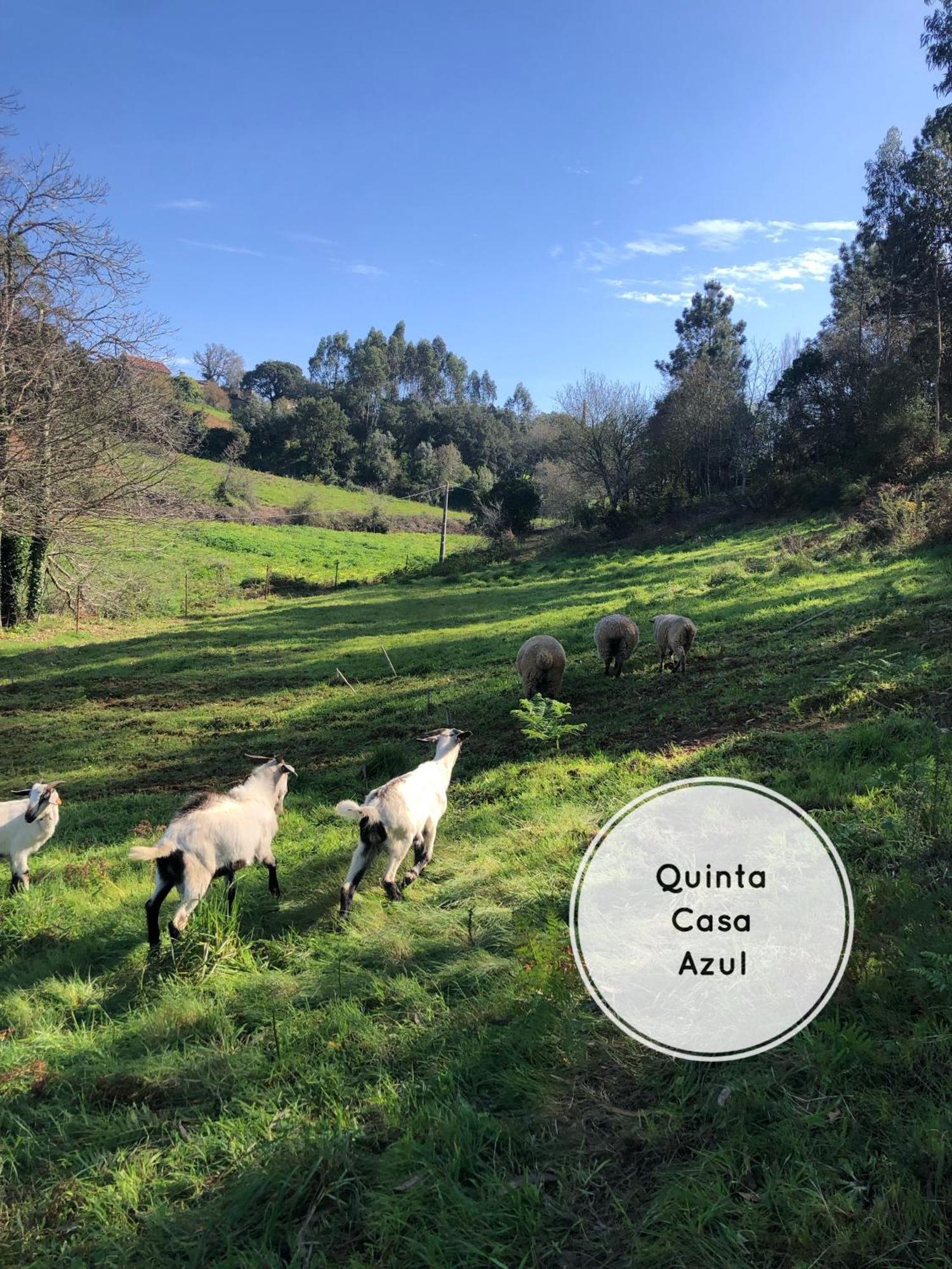 奥比多斯Quinta Da Casa Azul别墅 外观 照片